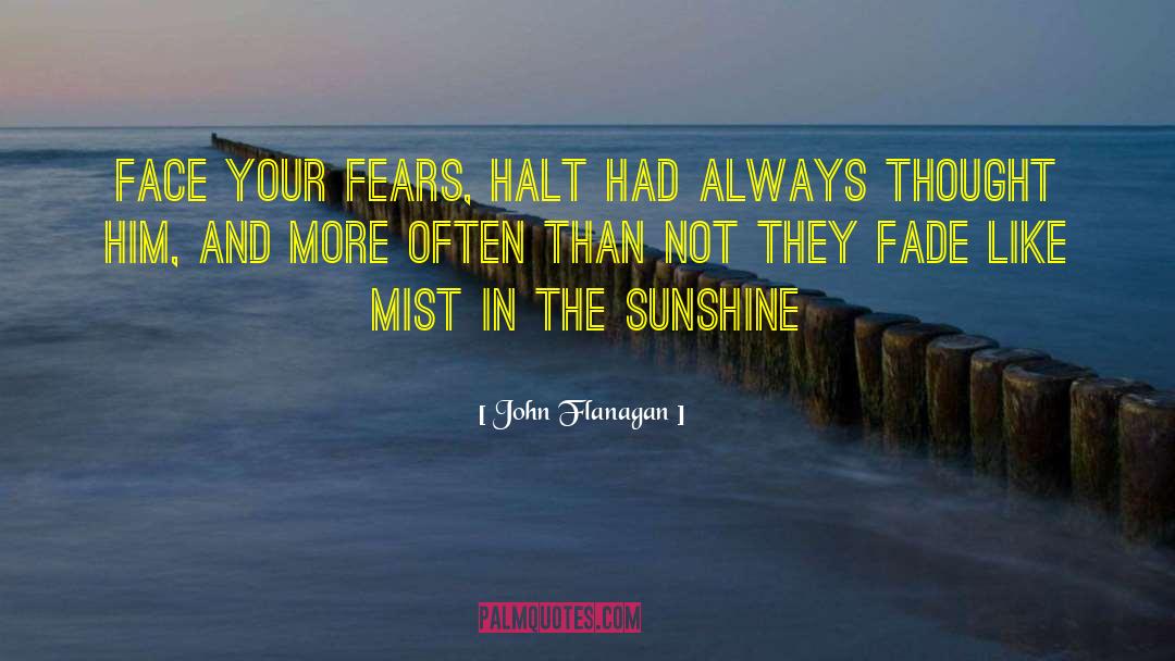 You Are Like A Ray Of Sunshine quotes by John Flanagan