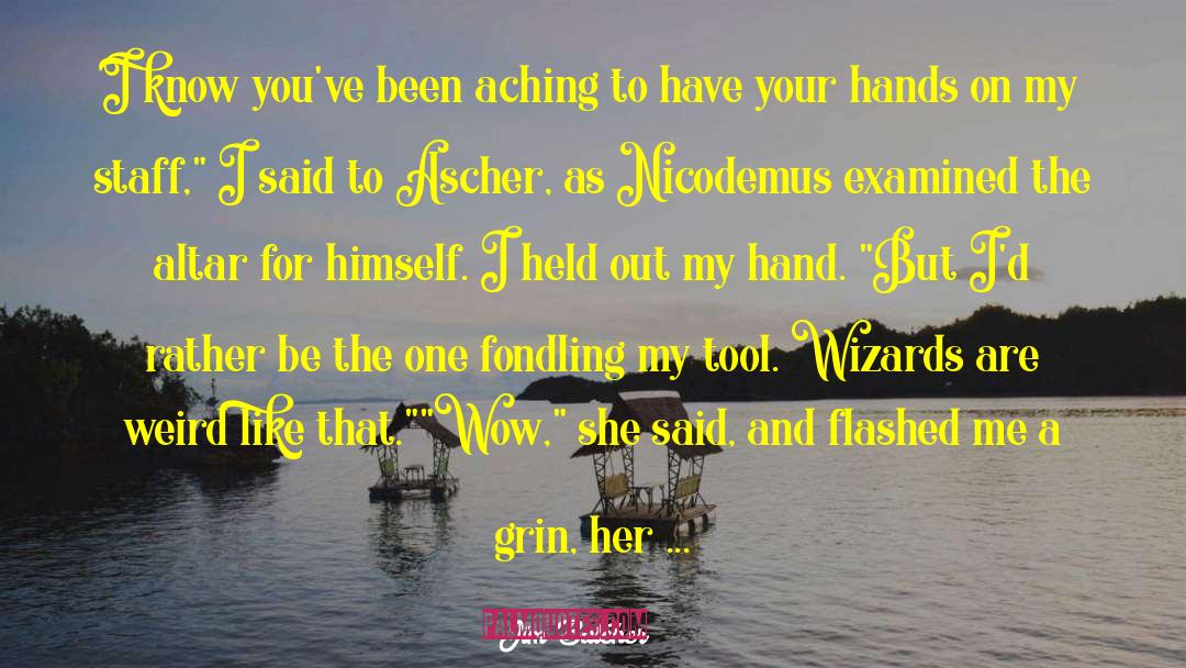 You Are Like My Brother quotes by Jim Butcher