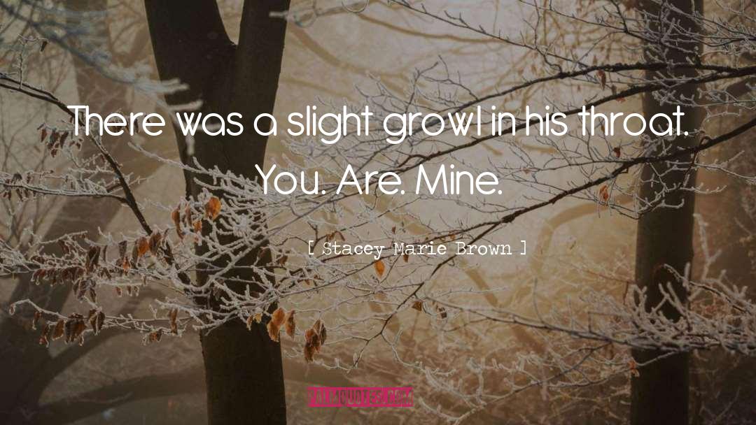 You Are Mine quotes by Stacey Marie Brown
