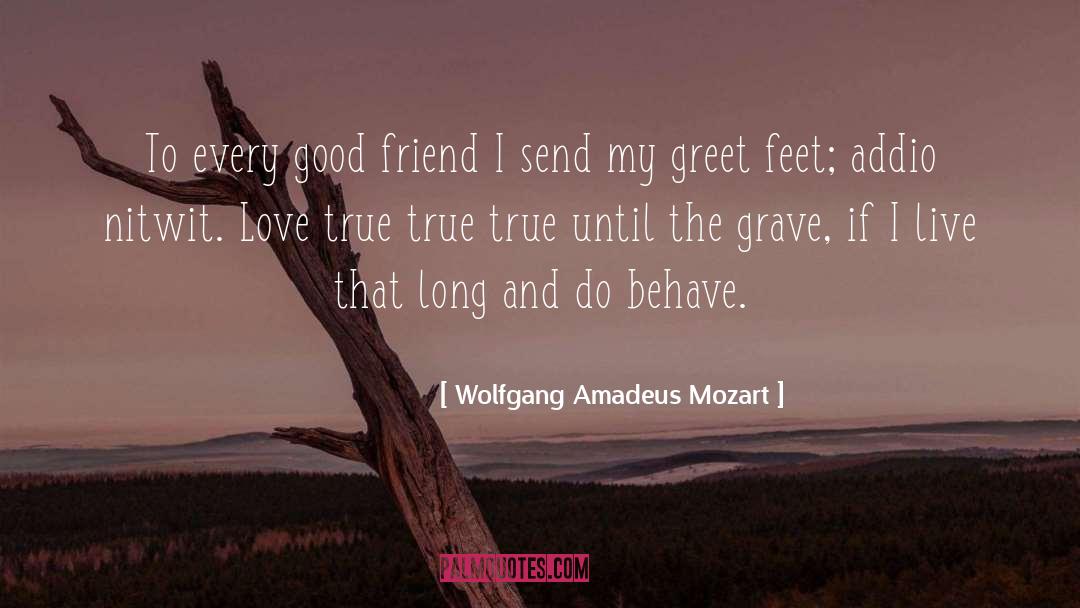 You Are My Only True Friend quotes by Wolfgang Amadeus Mozart