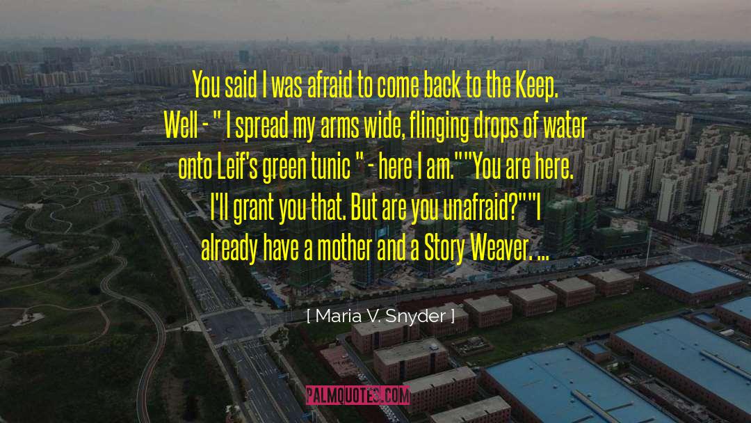 You Are My Standards quotes by Maria V. Snyder