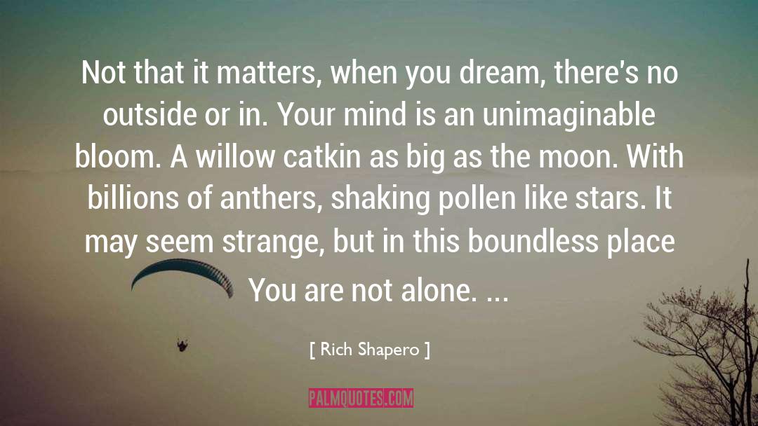 You Are Not Alone quotes by Rich Shapero