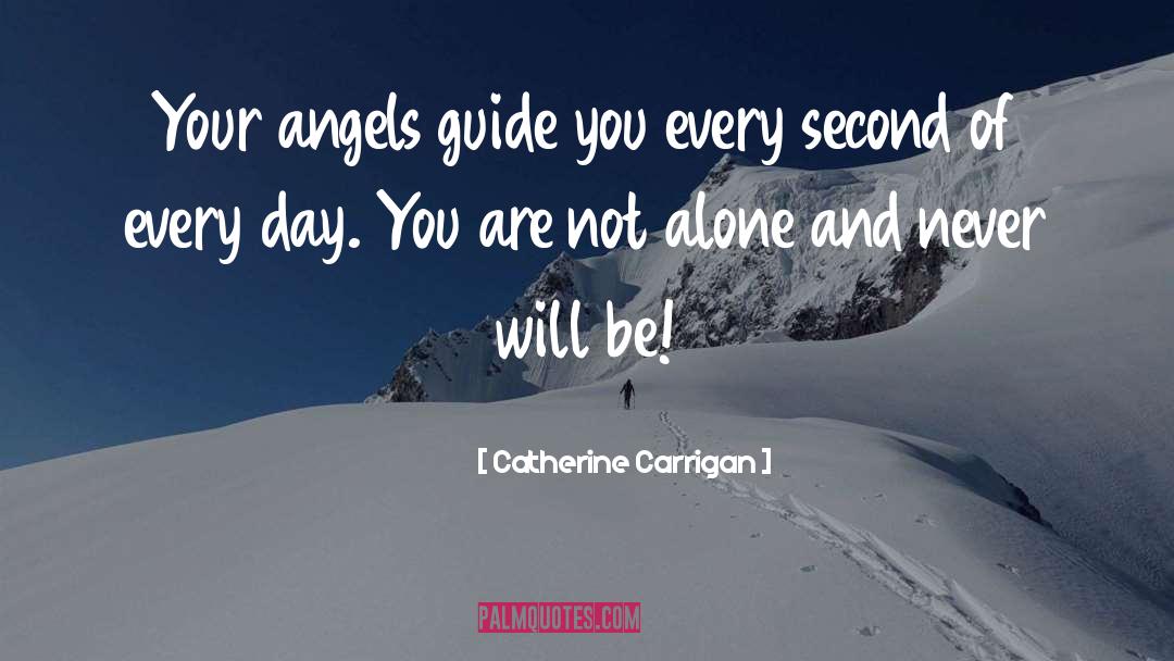 You Are Not Alone quotes by Catherine Carrigan