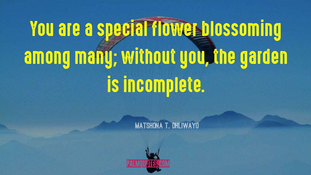 You Are Special quotes by Matshona T. Dhliwayo