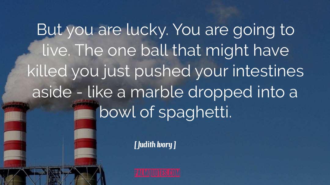 You Are The Hero quotes by Judith Ivory