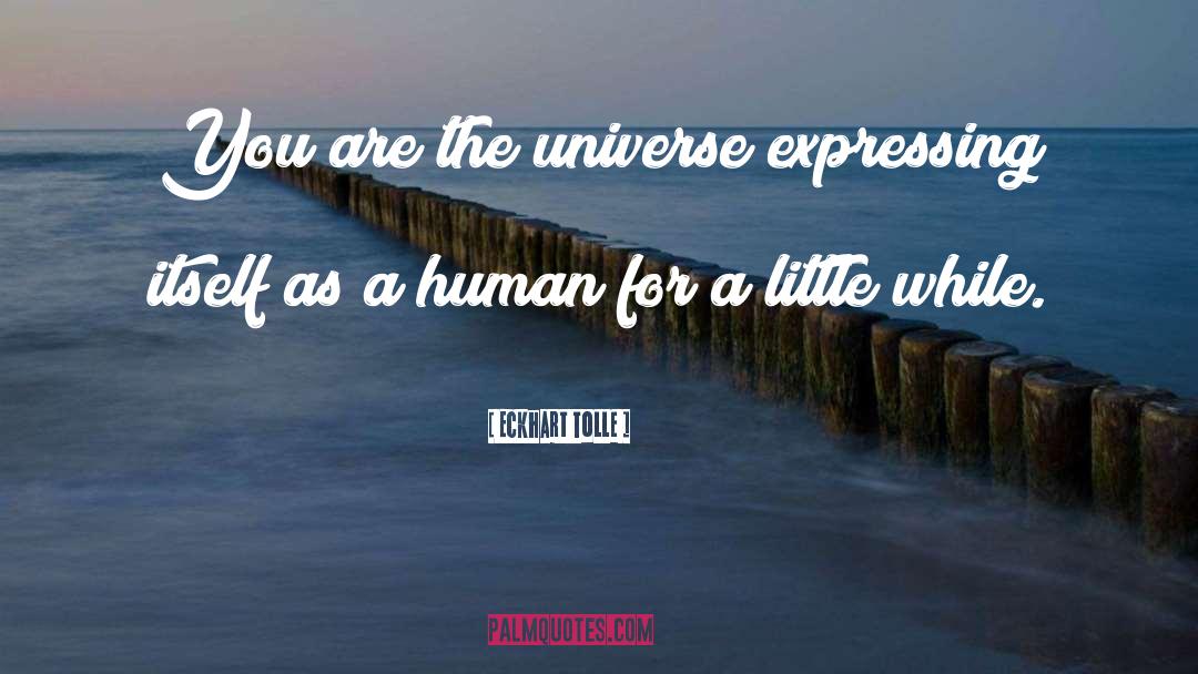 You Are The Universe quotes by Eckhart Tolle