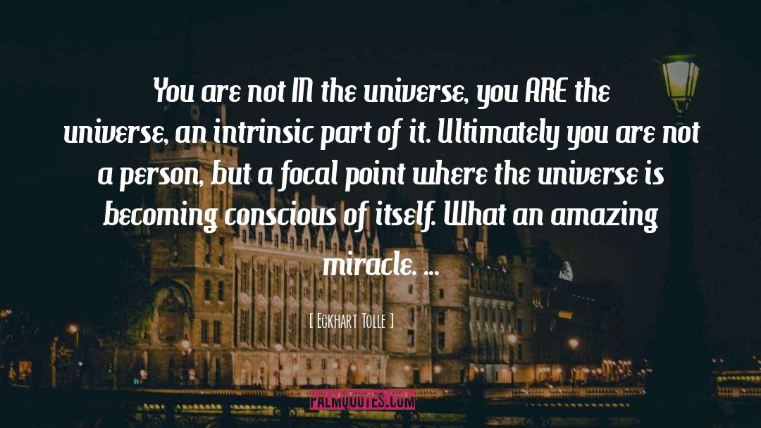 You Are The Universe quotes by Eckhart Tolle