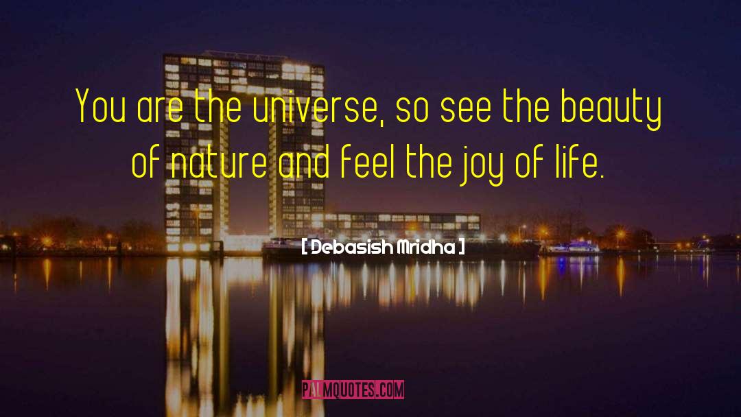 You Are The Universe quotes by Debasish Mridha