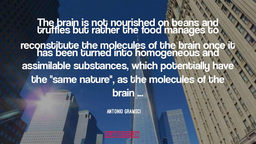 You Are What You Eat quotes by Antonio Gramsci