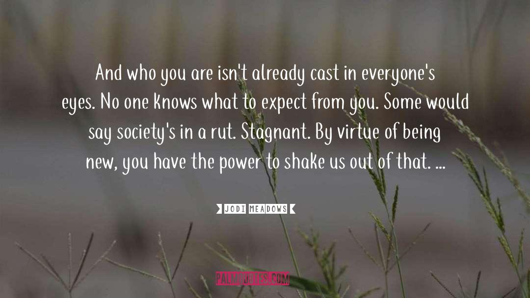 You Are What You Think quotes by Jodi Meadows