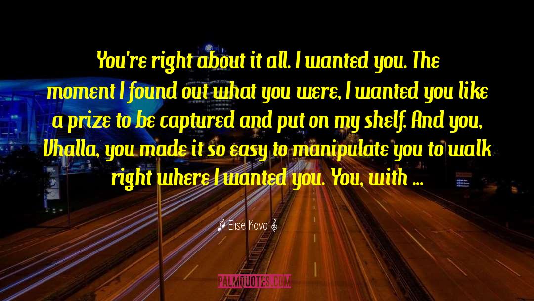 You Are Where You Wanted To Be quotes by Elise Kova