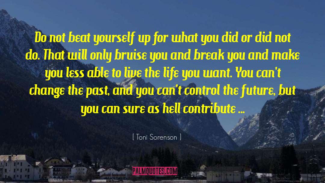 You Can 27t Change The Past quotes by Toni Sorenson