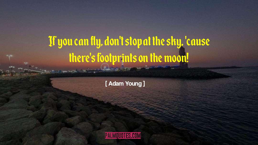 You Can Fly quotes by Adam Young
