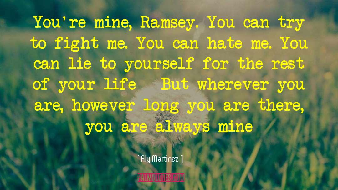 You Can Hate Me quotes by Aly Martinez