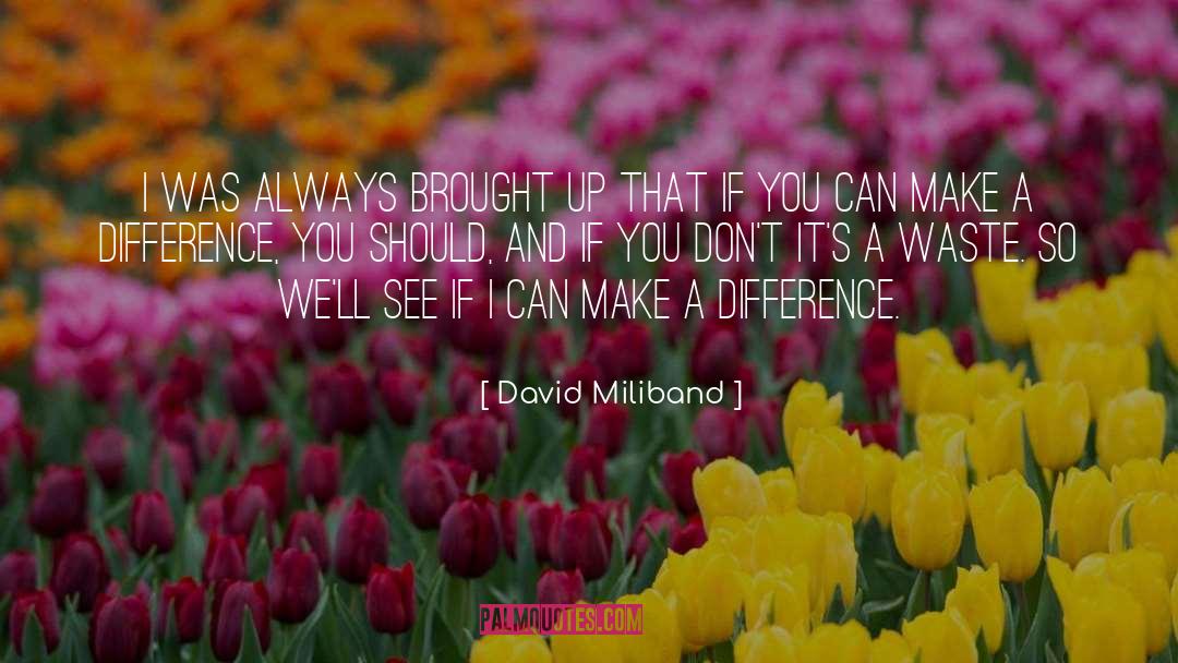 You Can Make A Difference quotes by David Miliband