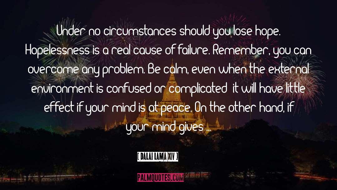 You Can Overcome Any Obstacle quotes by Dalai Lama XIV
