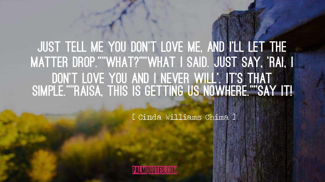 You Dont Love Me quotes by Cinda Williams Chima