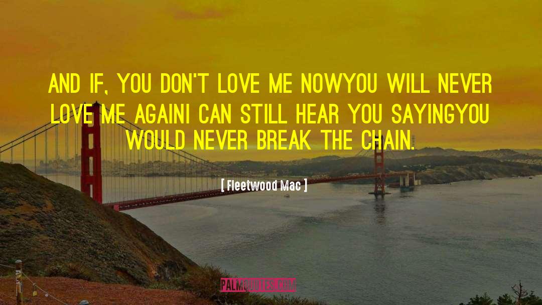 You Dont Love Me quotes by Fleetwood Mac