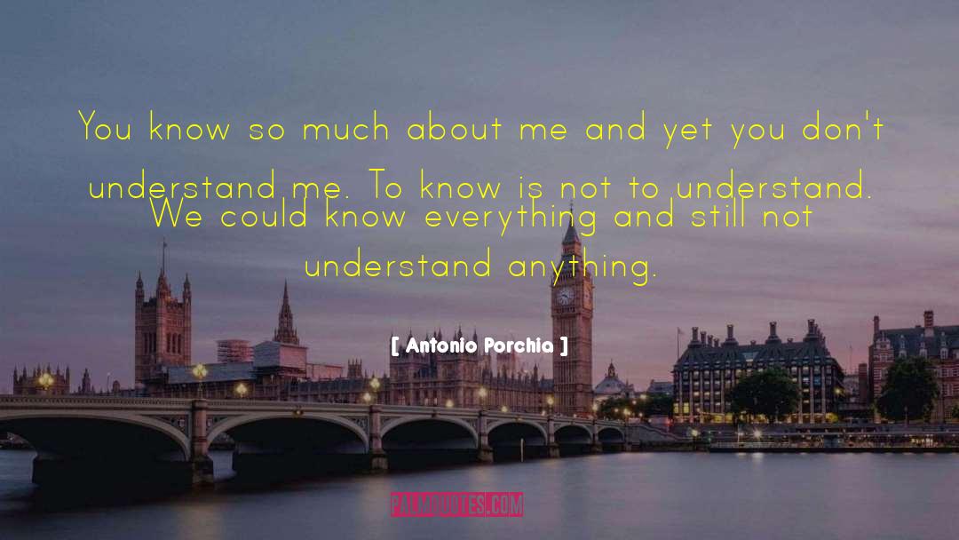 You Dont Understand Me quotes by Antonio Porchia