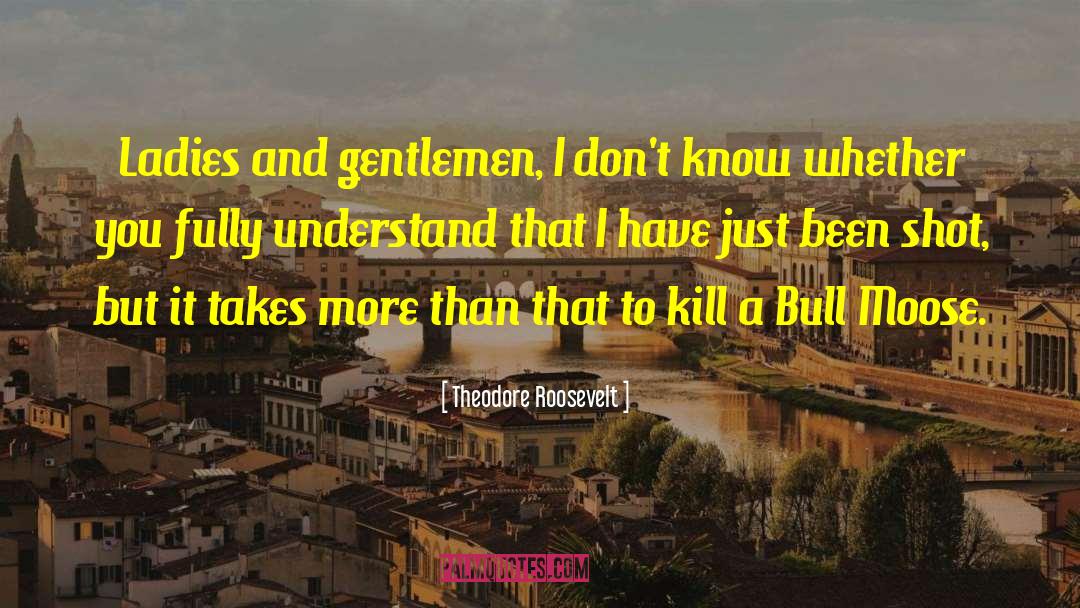 You Dont Understand Me quotes by Theodore Roosevelt