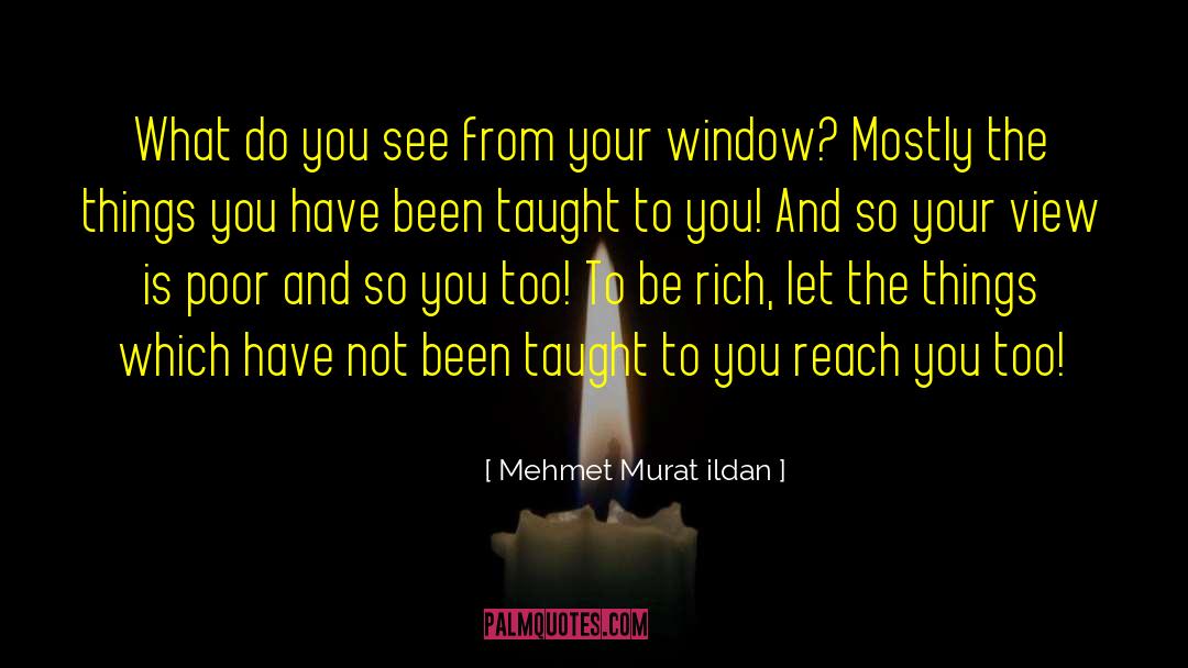 You Have Taught Me quotes by Mehmet Murat Ildan