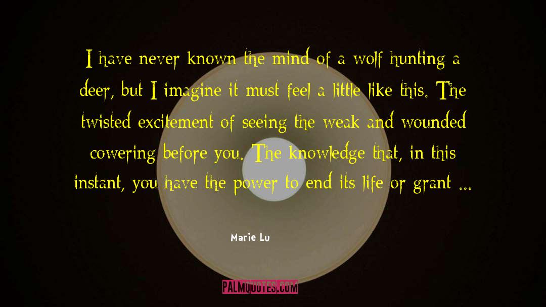 You Have The Power quotes by Marie Lu