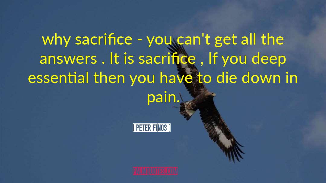 You Have To Sacrifice To Gain quotes by Peter Finos
