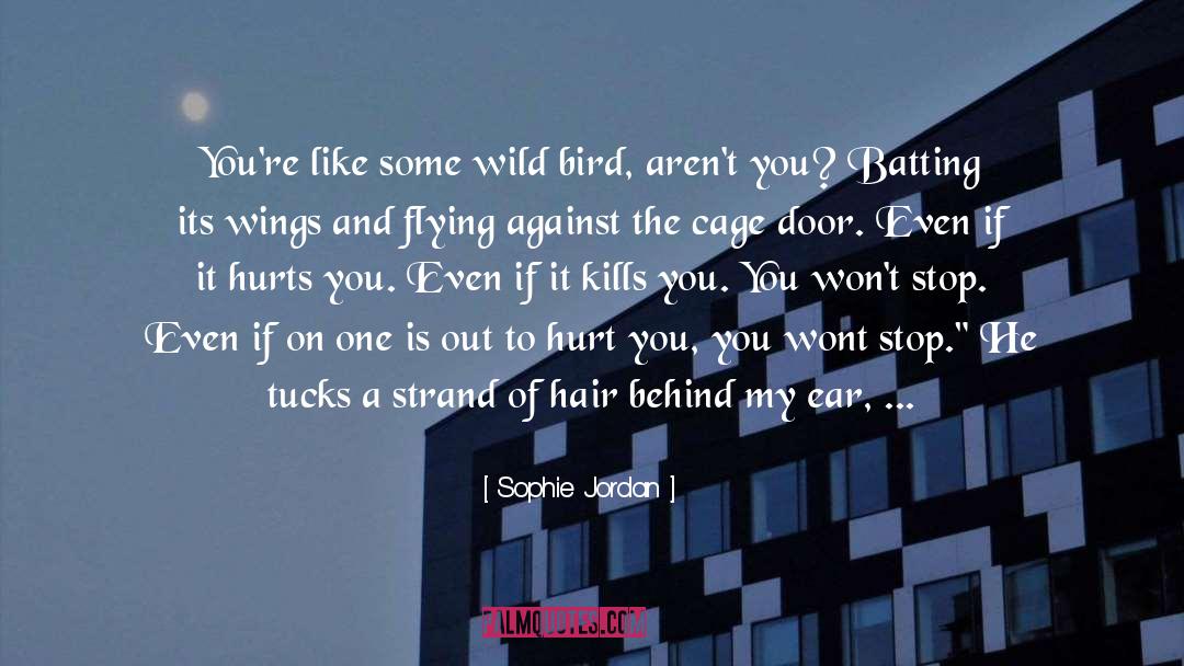 You Have Wings To Fly quotes by Sophie Jordan