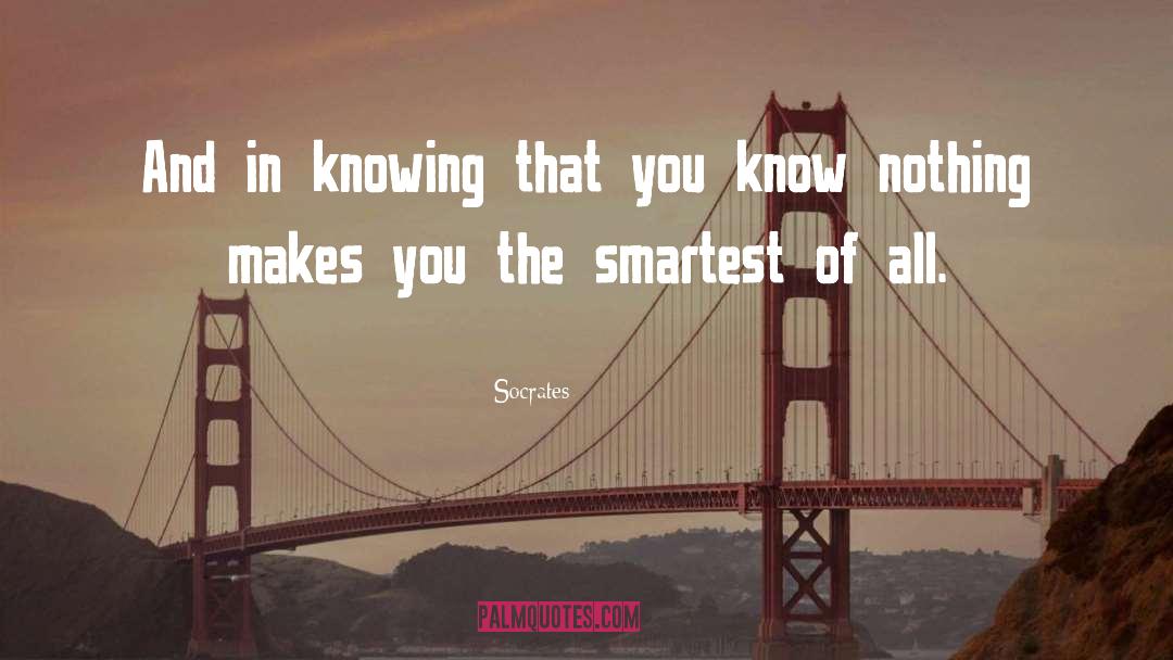 You Know Nothing quotes by Socrates