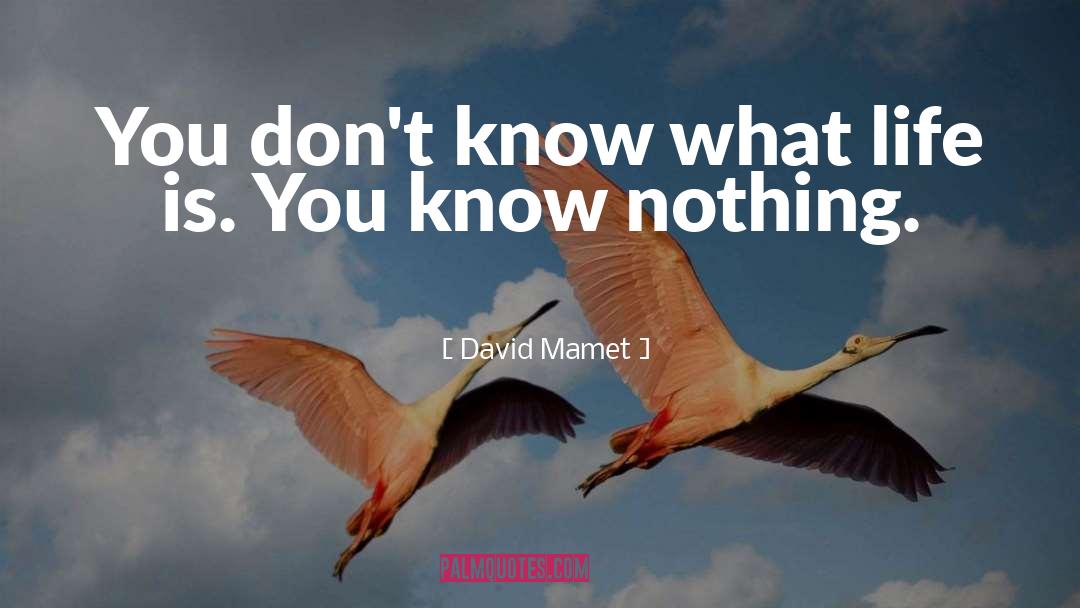 You Know Nothing quotes by David Mamet