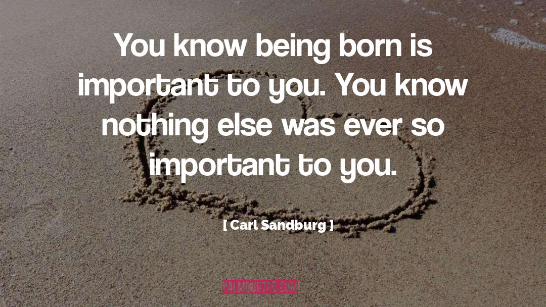 You Know Nothing quotes by Carl Sandburg