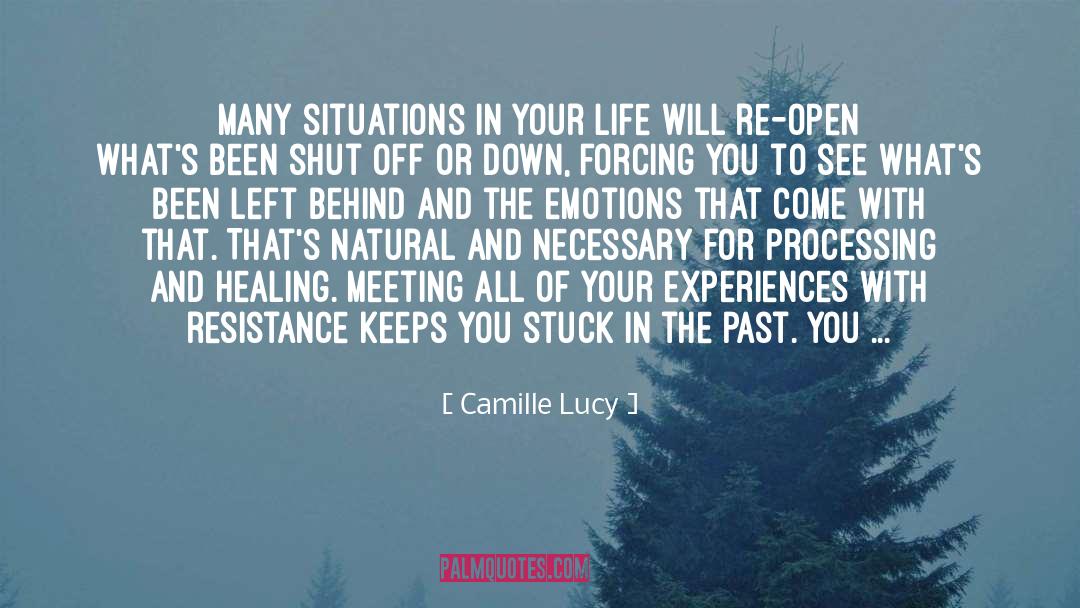 You Left Me quotes by Camille Lucy