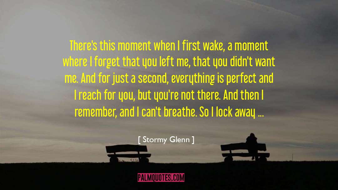 You Left Me quotes by Stormy Glenn