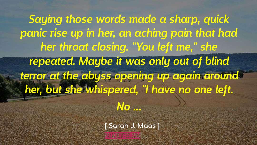 You Left Me quotes by Sarah J. Maas