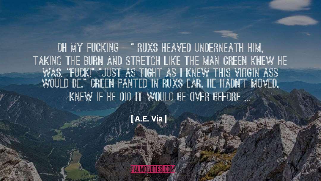 You Lied quotes by A.E. Via