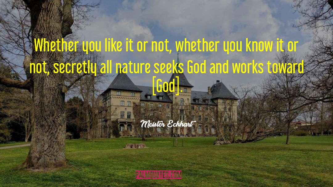 You Like It quotes by Meister Eckhart