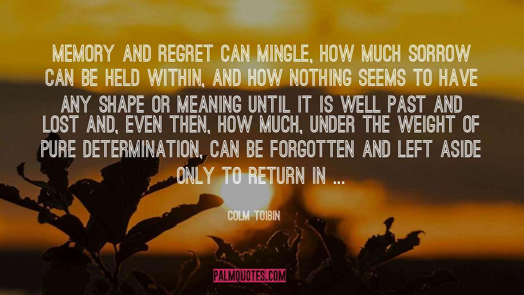 You Ll Regret It quotes by Colm Toibin