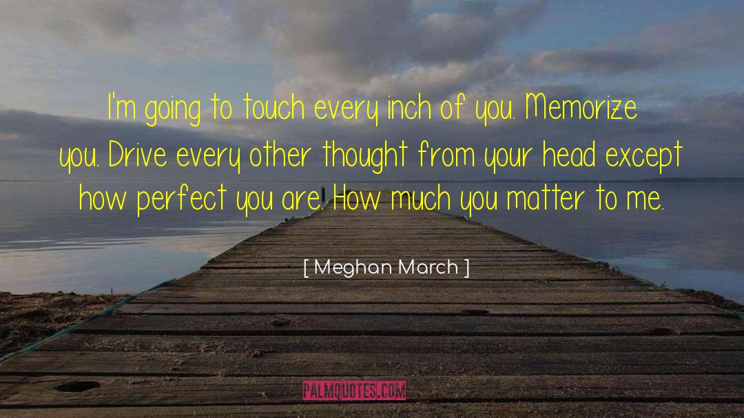 You Matter quotes by Meghan March