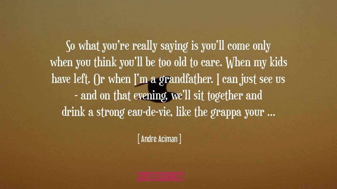 You Never Too Old quotes by Andre Aciman