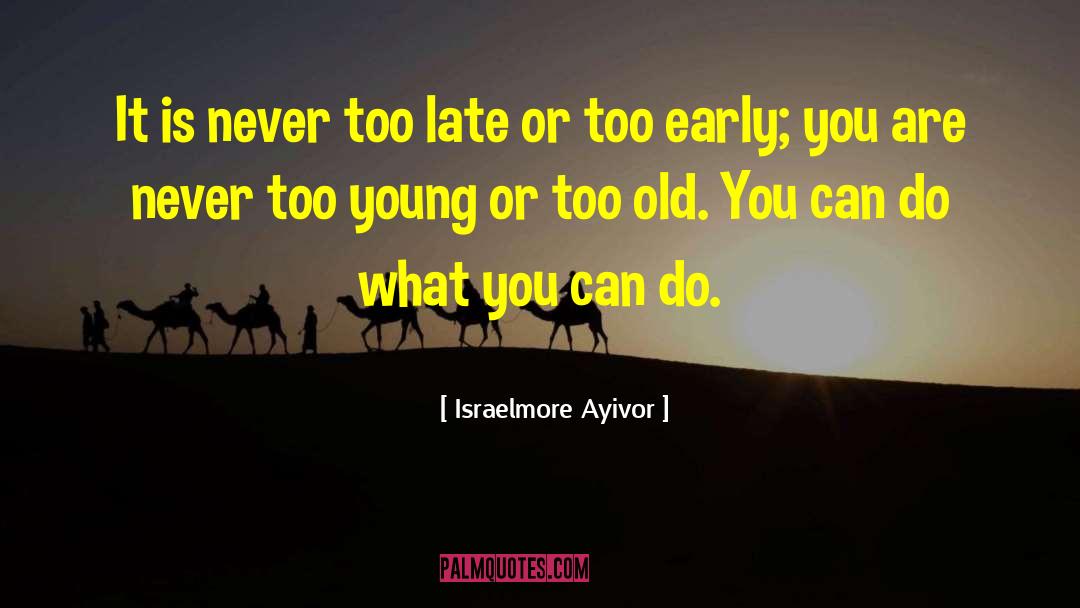 You Never Too Old quotes by Israelmore Ayivor