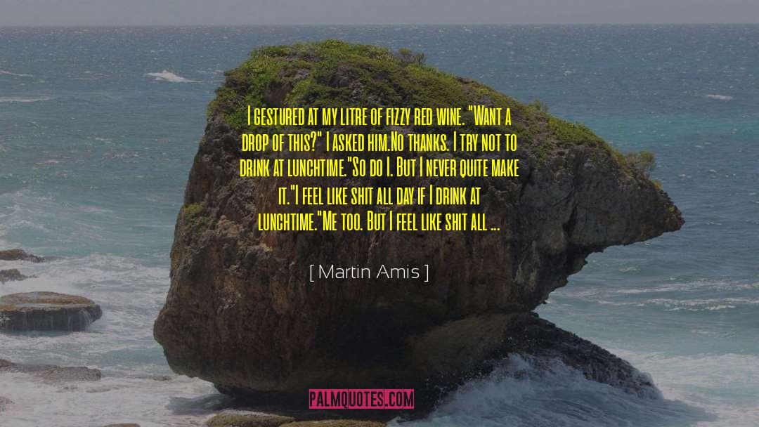 You Never Too Old quotes by Martin Amis