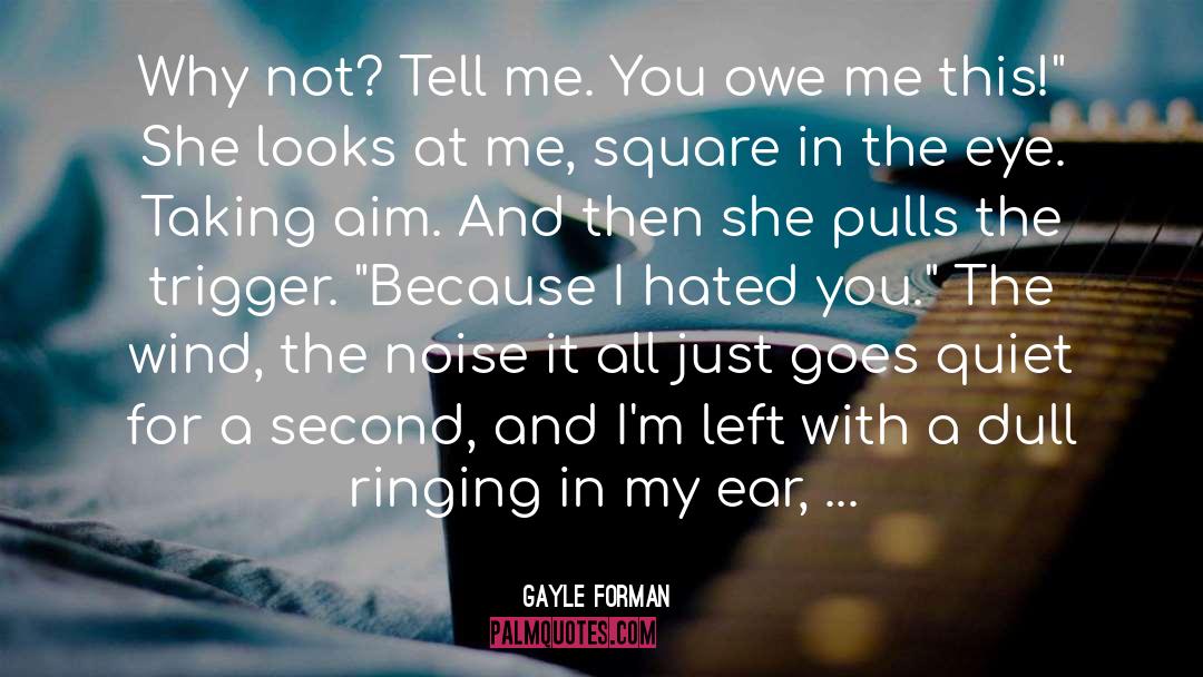 You Owe Me One quotes by Gayle Forman