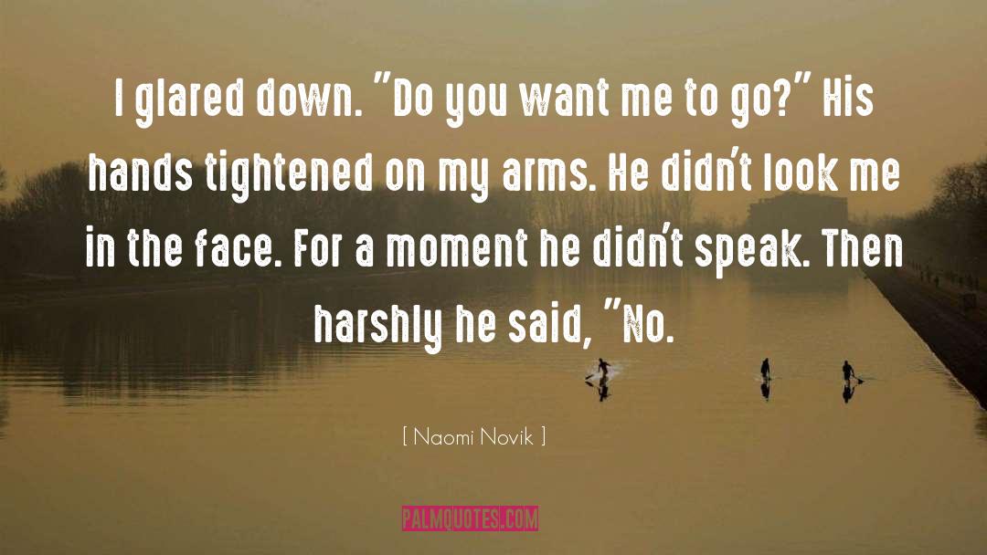 You Want Me quotes by Naomi Novik