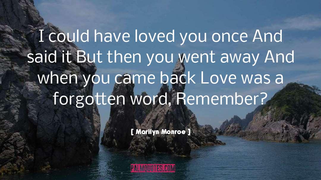 You Went Away quotes by Marilyn Monroe