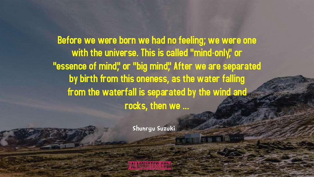 You Were Born Here quotes by Shunryu Suzuki