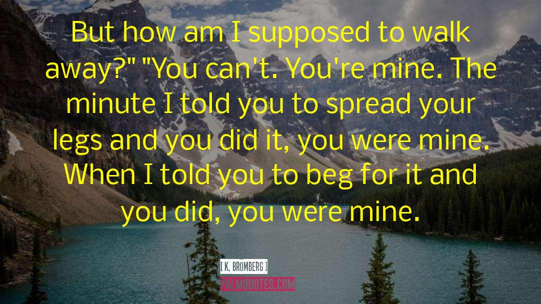 You Were Mine quotes by K. Bromberg