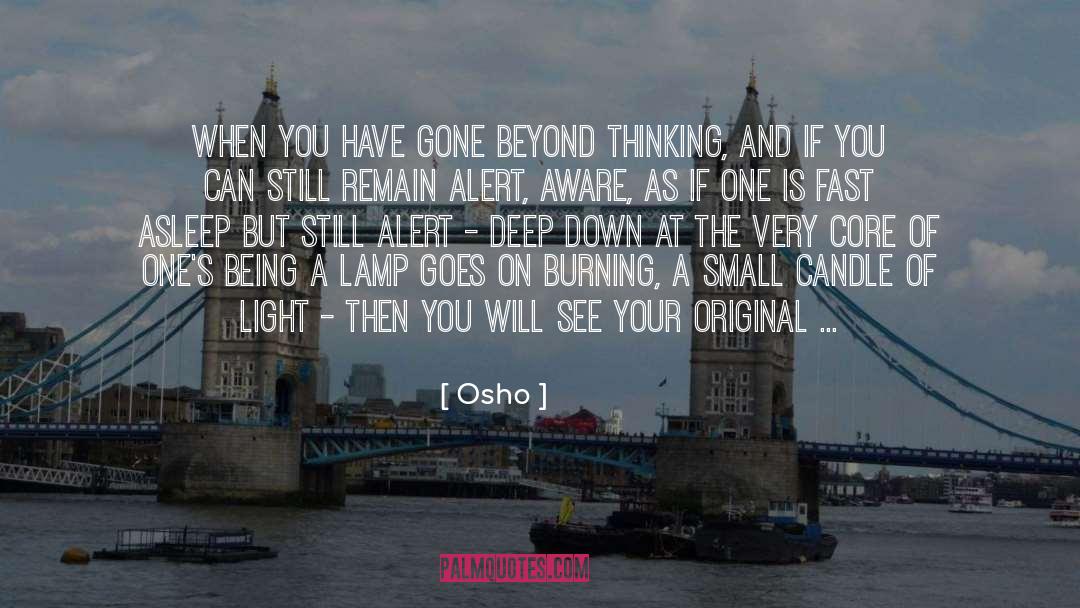 You Will See quotes by Osho
