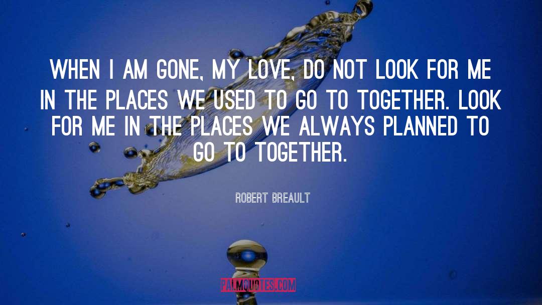 Youll Look For Me quotes by Robert Breault