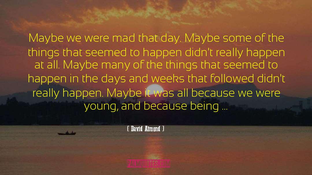 Young Adulthood quotes by David Almond