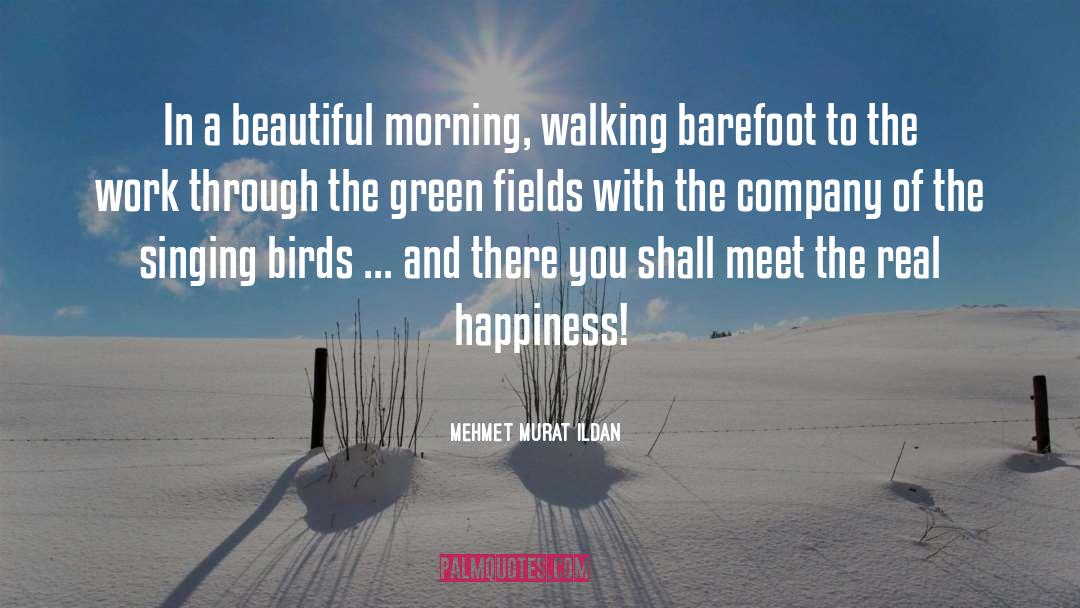 Young And Beautiful quotes by Mehmet Murat Ildan